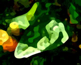 Show your friends how to "Keep~Earth~Alive" from the one and only Planet Squared.   Click for more!